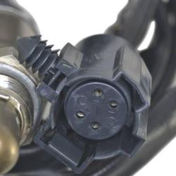 FAMOUS BRAND 1900556202