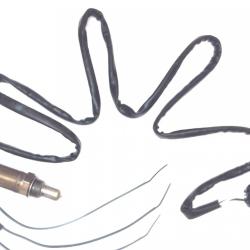 FAMOUS BRAND 1900556202