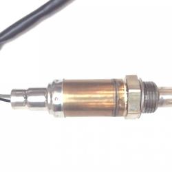 FAMOUS BRAND 1900556202