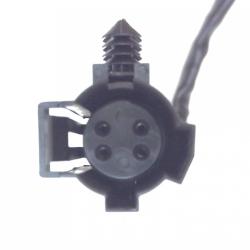 FAMOUS BRAND 1900556202