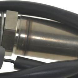 FAMOUS BRAND 1900556204