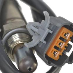 FAMOUS BRAND 1900556204