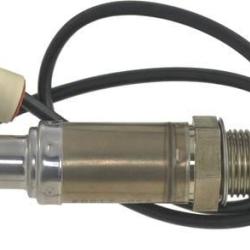 FAMOUS BRAND 1900556207