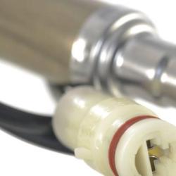 FAMOUS BRAND 1900556207