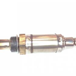 FAMOUS BRAND 1900556208