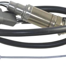 FAMOUS BRAND 1900556211