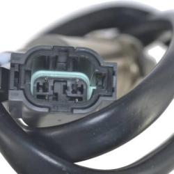 FAMOUS BRAND 1900556211