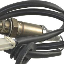 FAMOUS BRAND 1900556217