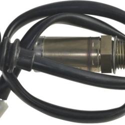 FAMOUS BRAND 1900556218