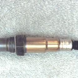 FAMOUS BRAND 1900556261