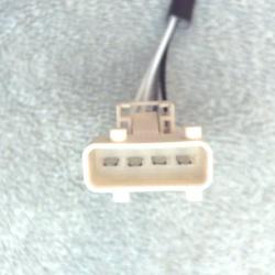 FAMOUS BRAND 1900556261