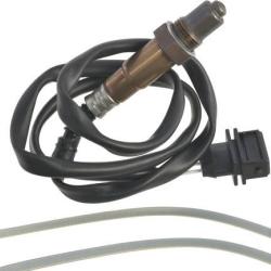 FAMOUS BRAND 1900556266