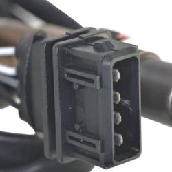 FAMOUS BRAND 1900556266