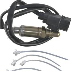 FAMOUS BRAND 1900556276