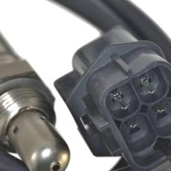 FAMOUS BRAND 1900556276