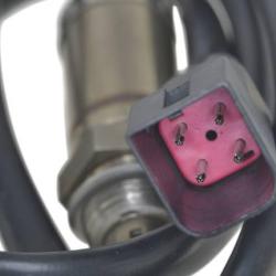 FAMOUS BRAND 1900556284