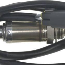 FAMOUS BRAND 1900556284