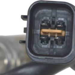 FAMOUS BRAND 1900556291