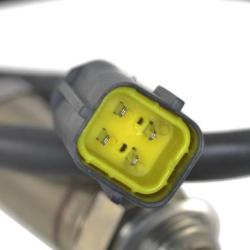 FAMOUS BRAND 1900556293