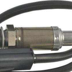 FAMOUS BRAND 1900556293