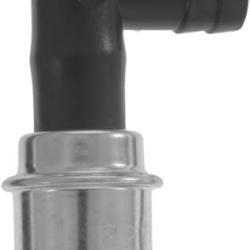 FAMOUS BRAND 190117173