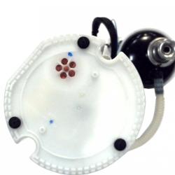 FAMOUS BRAND 2202529345