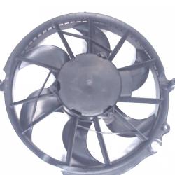 FAMOUS BRAND 2403256251