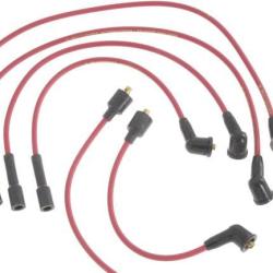 FAMOUS BRAND 250079139