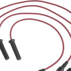 FAMOUS BRAND 250079801