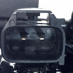 FAMOUS BRAND 2505258554