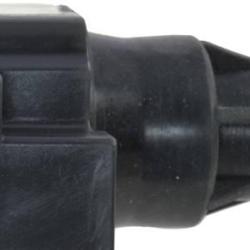 FAMOUS BRAND 2505305630