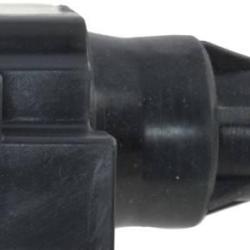 FAMOUS BRAND 2505305630