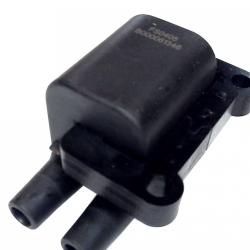 FAMOUS BRAND 2505307666