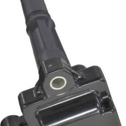 FAMOUS BRAND 2505309972