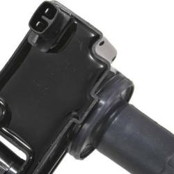 FAMOUS BRAND 2505309972