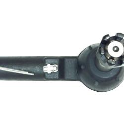 FAMOUS BRAND 260065117