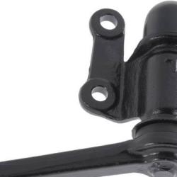 FAMOUS BRAND 260068739