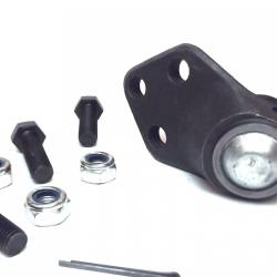 FAMOUS BRAND 270065146