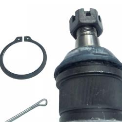 FAMOUS BRAND 270071435