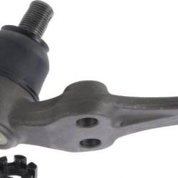 FAMOUS BRAND 270071565