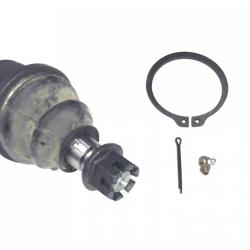 FAMOUS BRAND 270096740