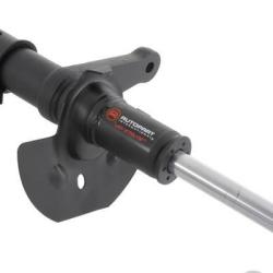 FAMOUS BRAND 270180619