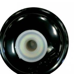 FAMOUS BRAND 5002232000