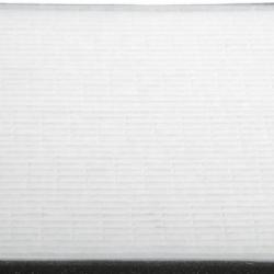 FAMOUS BRAND 5005538890