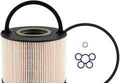 HASTINGS / BALDWIN FF1229