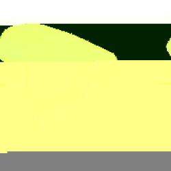 VDO / CONTINENTAL SE55902