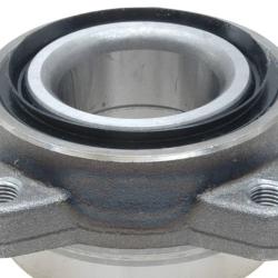 RAYBESTOS 710038
