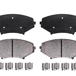 RAYBESTOS P1009M980293R