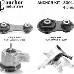 ANCHOR 300110