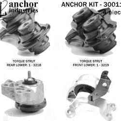ANCHOR 300110